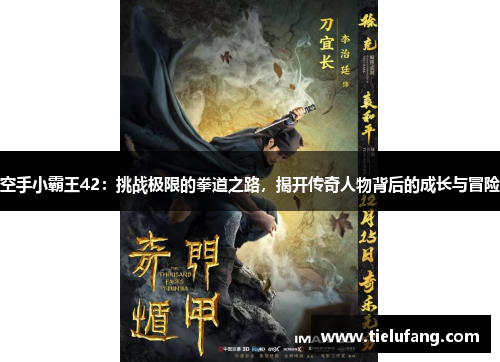 空手小霸王42：挑战极限的拳道之路，揭开传奇人物背后的成长与冒险
